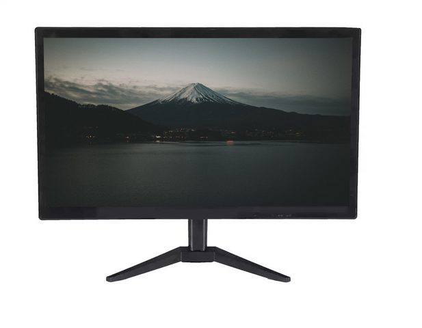 19.5 Inch Wide Computer PC LED LCD Display Monitor with VGA/HDMI