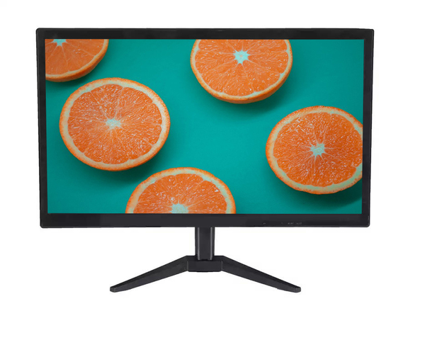 19.5 Inch PC Computer with HDMI and VGA LED Monitor